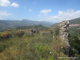 stello di Pentefur-27-04-2016 22-29-08